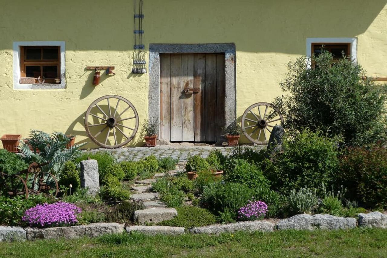 Ferienwohnung Schindler Nittenau エクステリア 写真